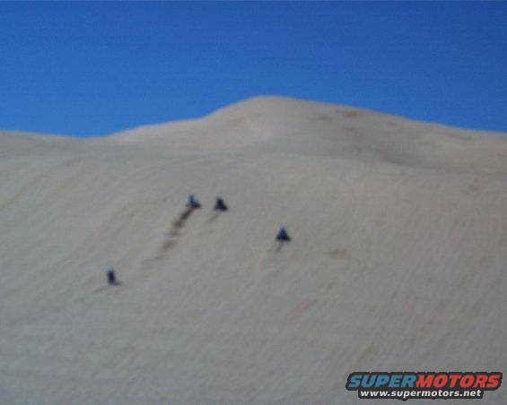 pic00003.jpg 