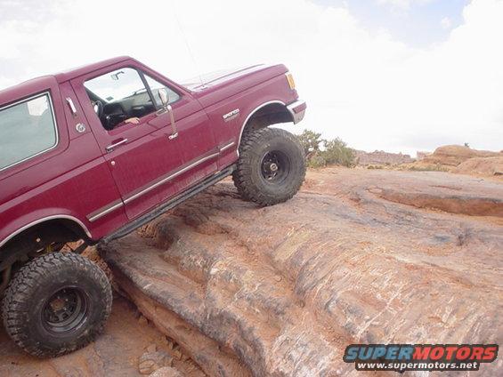 32205-007.jpg Starting to Poison Spider