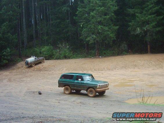 Bronco approaching the watering hole.