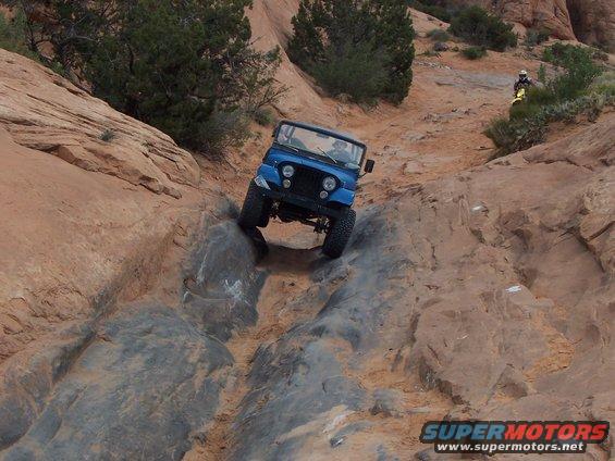 100_0616.jpg CJ getting a weddgie
