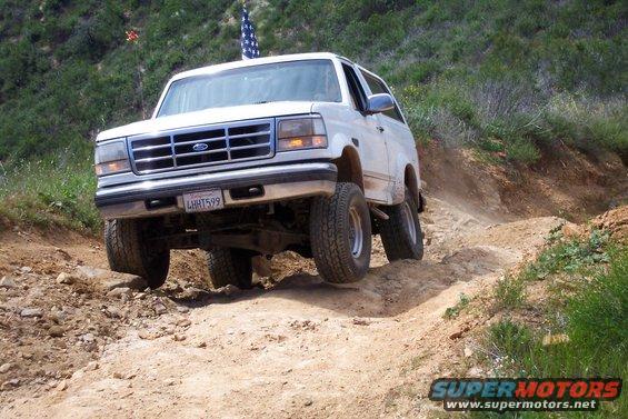 100_1383.jpg Froggmann 3