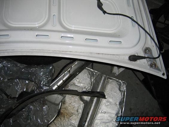 Underside of white car hood with wiring and insulation