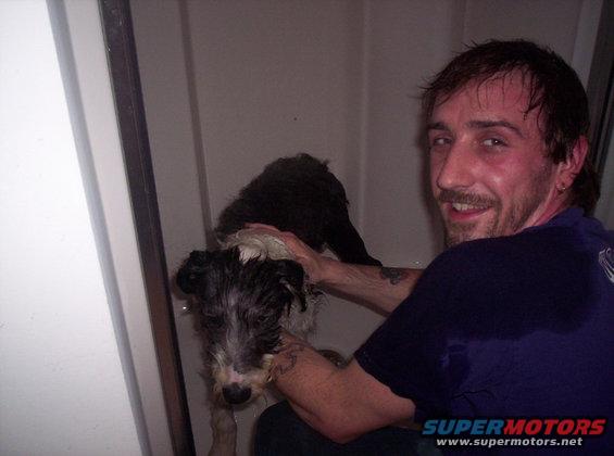 guy giving a wet dog a bath in a shower stall