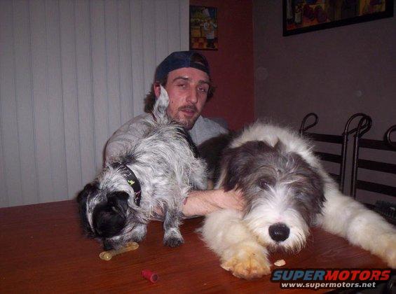 Man holding two dogs on a table