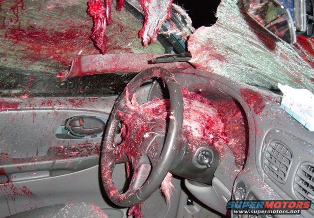 most disgusting/awesome thing I've ever seen