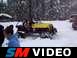 the buggy in the snow