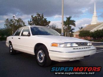 photo-#-6.jpg Photo  2