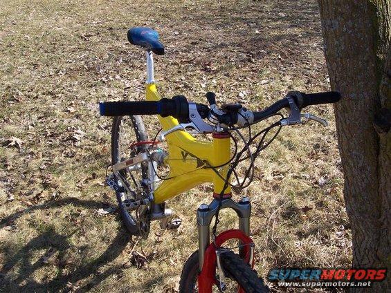 Yellow mountain bike front view with blue seat and tree trunk on right