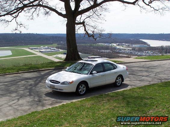 White sedan parked on a road with a large tree overhead and a distant view of an airport and river