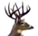 1991 Mazda Navajo - A buck deer with impressive antlers is captured in this close-up photograph.