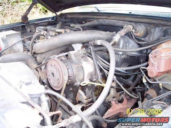 Engine bay with hoses and components visible