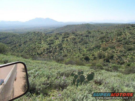 Desert landscape with mountains and cacti, seen from a vehicle's side mirror