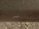 1979 Ford Bronco - A close-up view of a vehicle's body panel, showing signs of wear and minor rust.