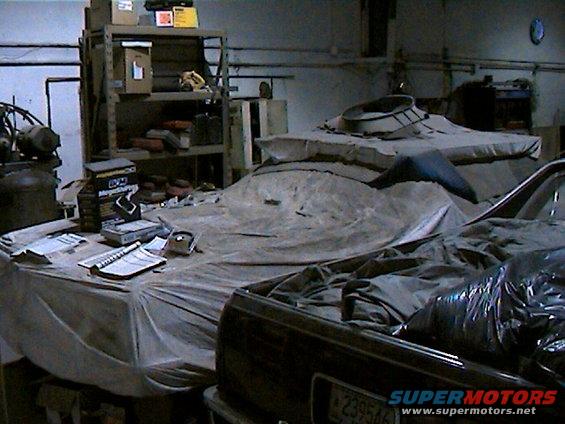 Torino in shop