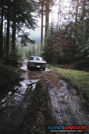 muddinbronco.jpg Creek was flowing over road here.