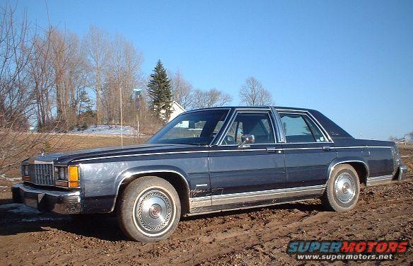Sitting in the muddy driveway...