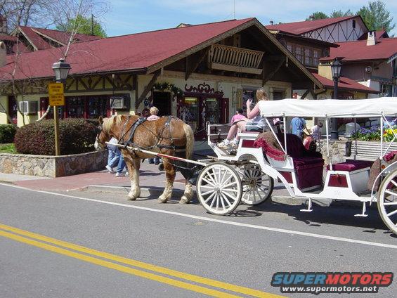 Horse-drawn carriage with white canopy and burgundy seats on a street