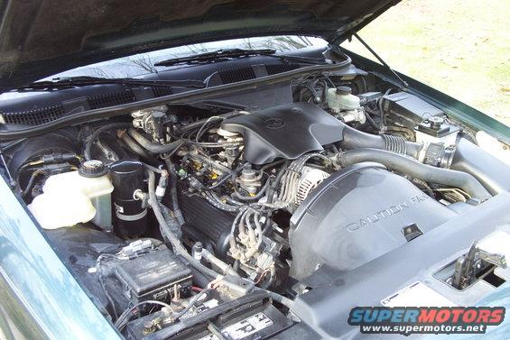Green Ford Crown Victoria engine bay with V8 engine and "CAUTION FAN" shroud
