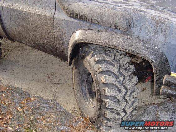 rootflex2.jpg Stuffin that 40" Hawg!!!