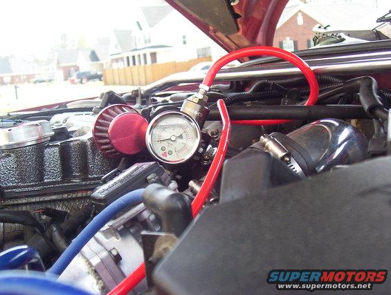 Engine bay with gauge and red hose
