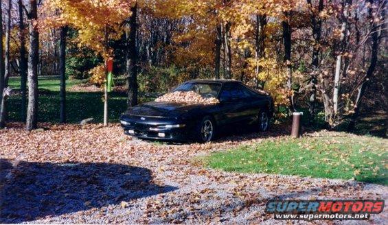 autumn.jpg A pic of her fall 04