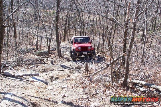 red Jeep Wrangler driving on a dirt path through a wooded area