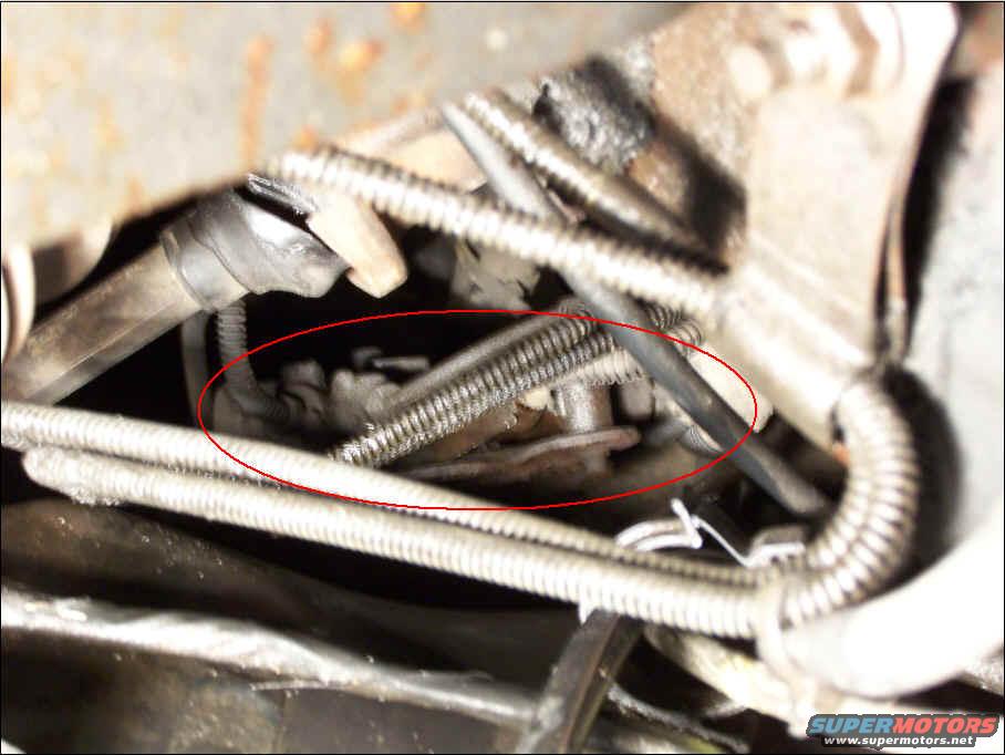 Close-up of engine bay components with a red circle highlighting a part