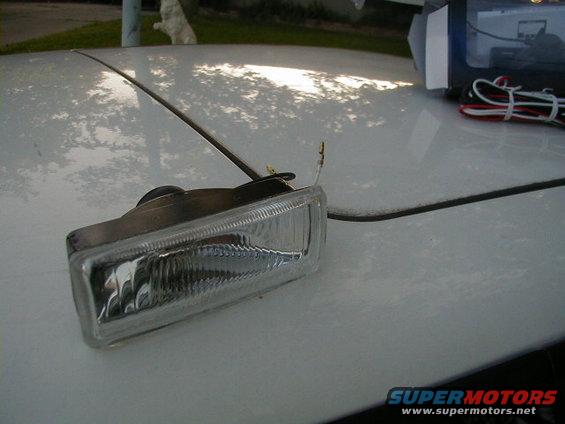 fog light and wiring harness on a white car hood