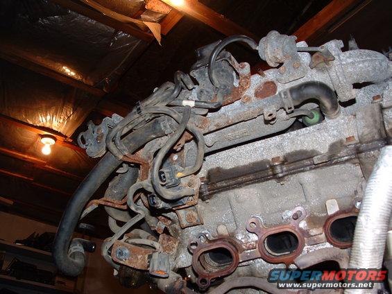 Engine with hoses and wiring