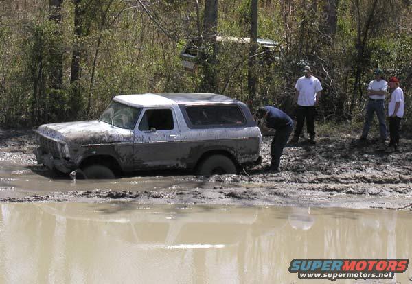 14.jpg Every job needs supervisors.