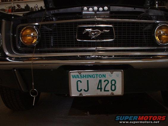 mustangs-5.jpg 