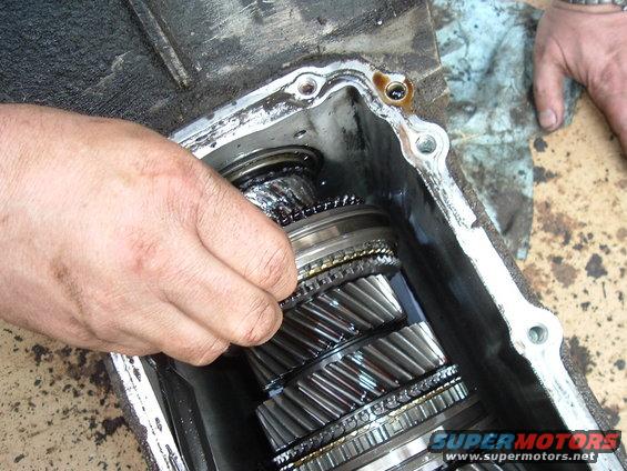 tranny2.jpg Tranny again. April 16, 2005