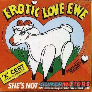 Packaging for 'Erotic Love Ewe' adult toy, a cartoon sheep inside a heart