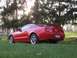 2005 Ford Mustang - Red 2005 Ford Mustang coupe parked on a grassy area with trees in the background.