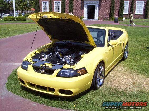 Yellow 2002 Ford Mustang convertible front view with hood open