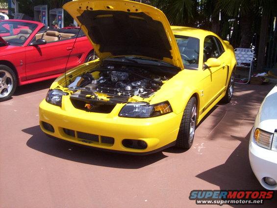 Yellow 2002 Ford Mustang coupe with hood open, showing engine. Red convertible Mustang parked to the left. White car front visible on right
