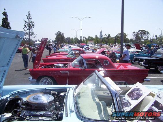 Several classic red Ford Thunderbirds and a light blue convertible parked in rows at an outdoor car show