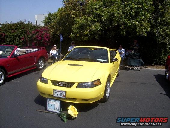 Yellow 2002 Ford Mustang convertible front view with a rose and display card