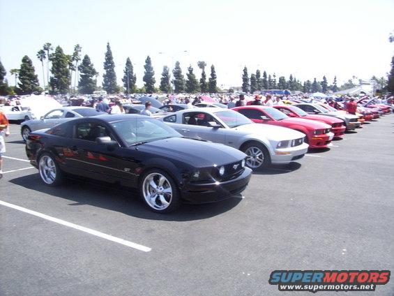 Black Ford Mustang GT parked in a lot with other Mustangs