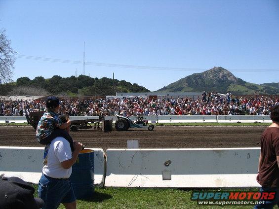 img_2976.jpg the little guys...