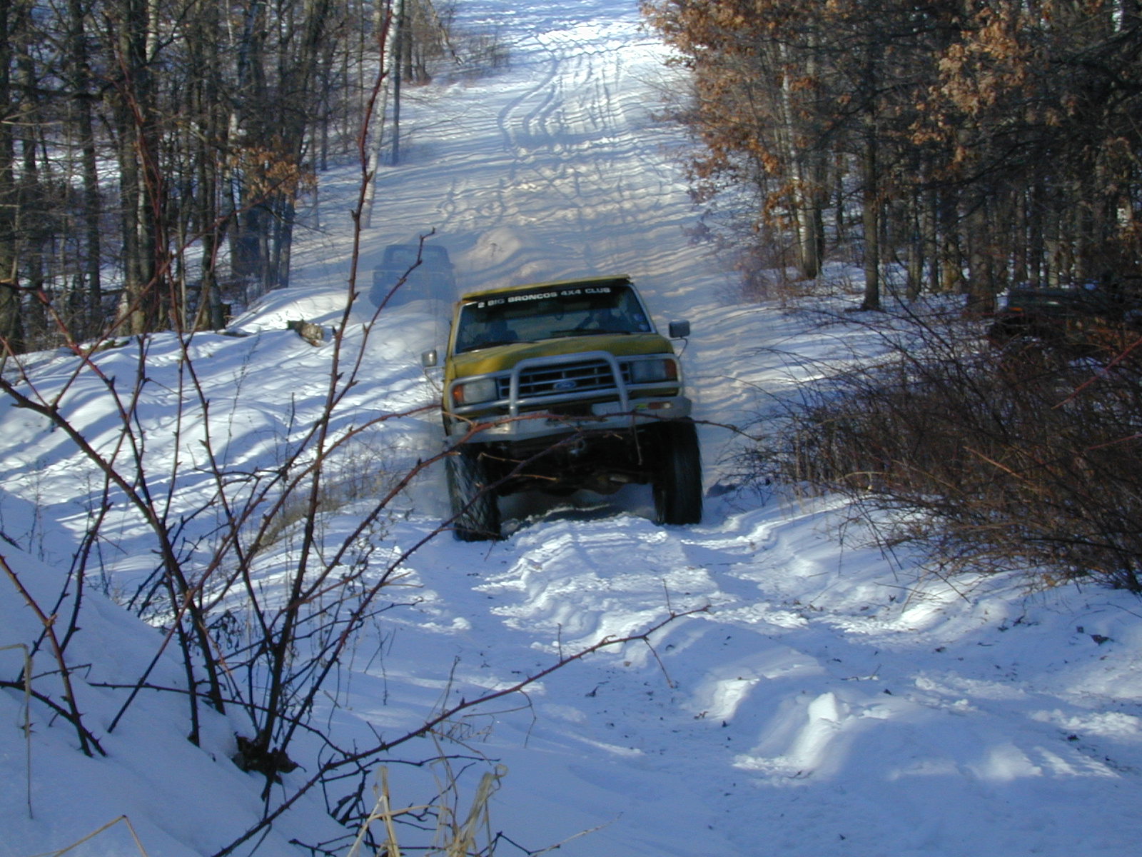 1979 Ford F-150 photo