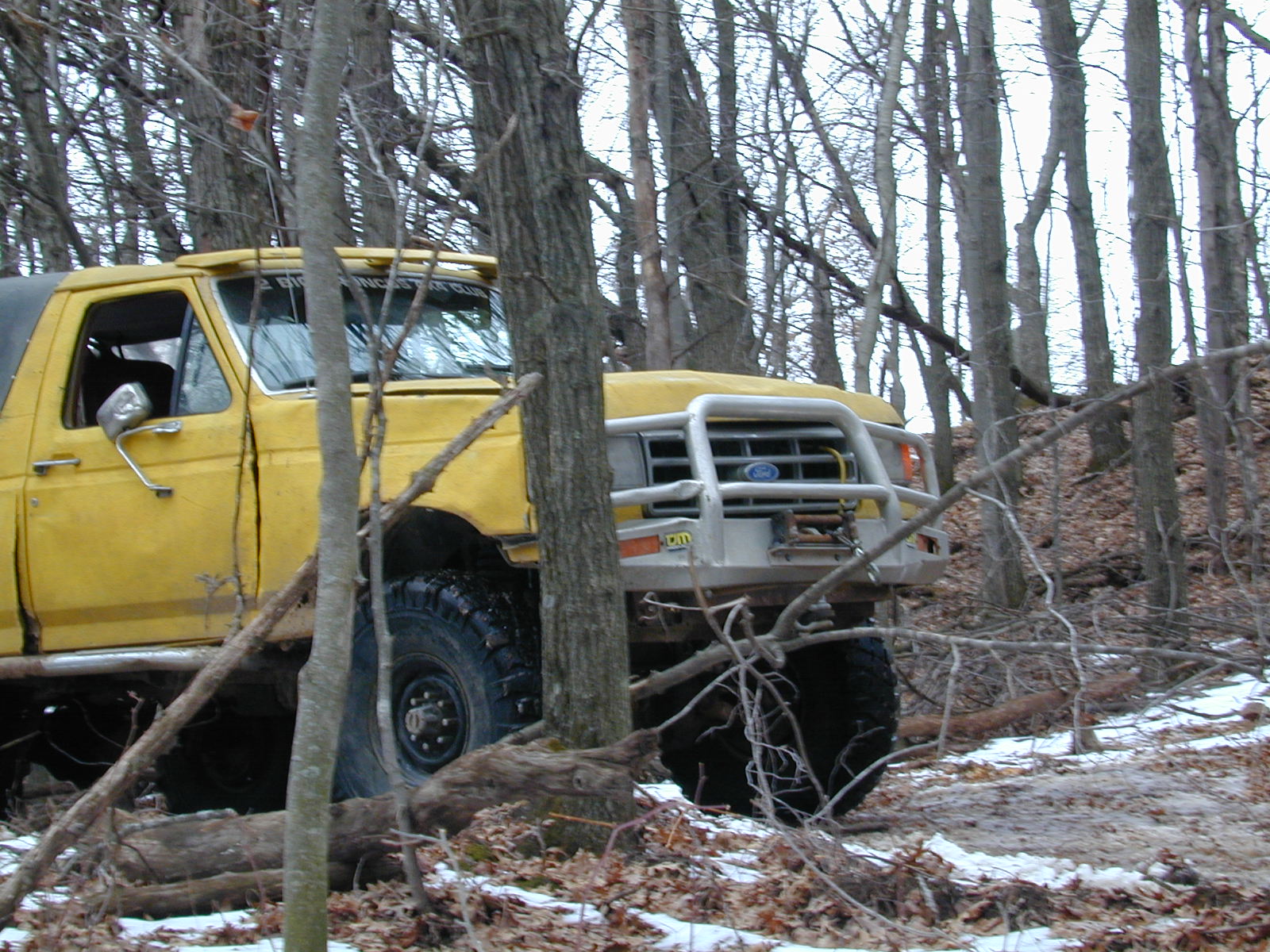 1979 Ford F-150 photo