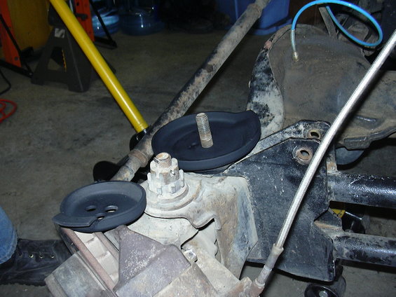 dscn3980.jpg New spring perch ready for a spring