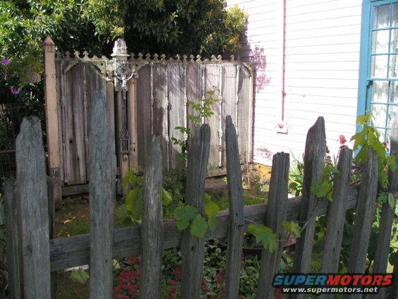 weathered wooden fence with ornate gate, overgrown with vines, next to a pink house