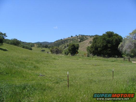Grassy hillside with trees under a clear blue sky, supermotors.net logo