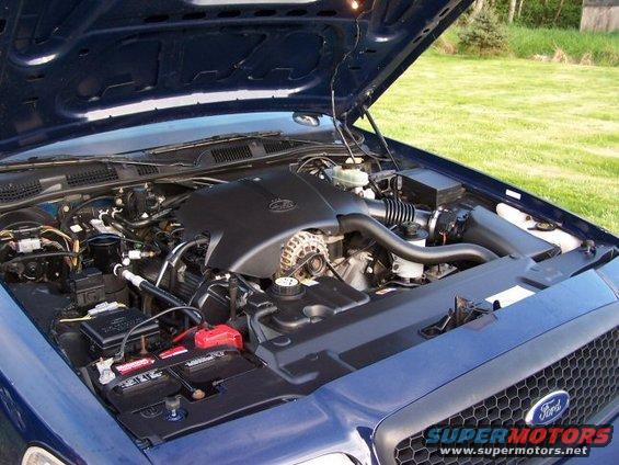 2001 Ford Crown Victoria engine bay with hood open, showing V8 engine and battery