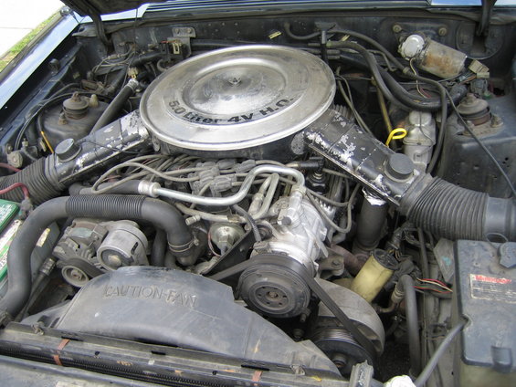 Ford 5.0 Liter 4V HO engine bay with air cleaner and fan visible