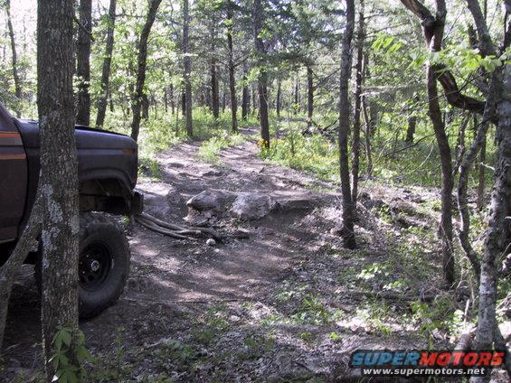 Brown 1980s Ford Bronco on a dirt path in a forest, front quarter view
