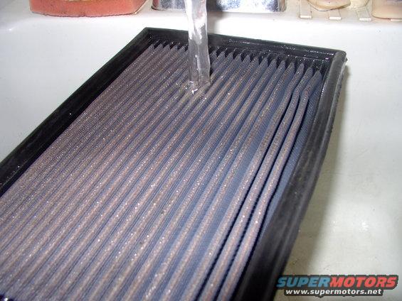 img_0051.jpg Put the water to her and rinse her out.