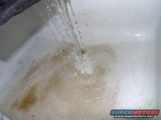 These digitals are so slow to snap the shot. Believe me the water was a whole lot dirtier a few seconds ago. I re-sprayed and re-rinsed two more times until the water ran clean.